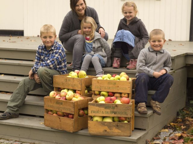 Store og små epleplukkere på trappa